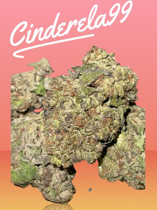 CINDERELLA99 3.5g SATIVA INDOOR 🔥🔥 28%THC - Image 2