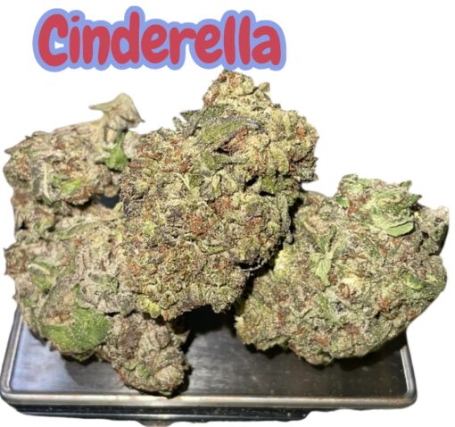 CINDERELLA99 3.5g SATIVA INDOOR 🔥🔥 28%THC