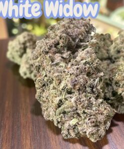 WHITE WIDOW 7GRAMS QUARTER 27%THC🎃HALO SALE🎃