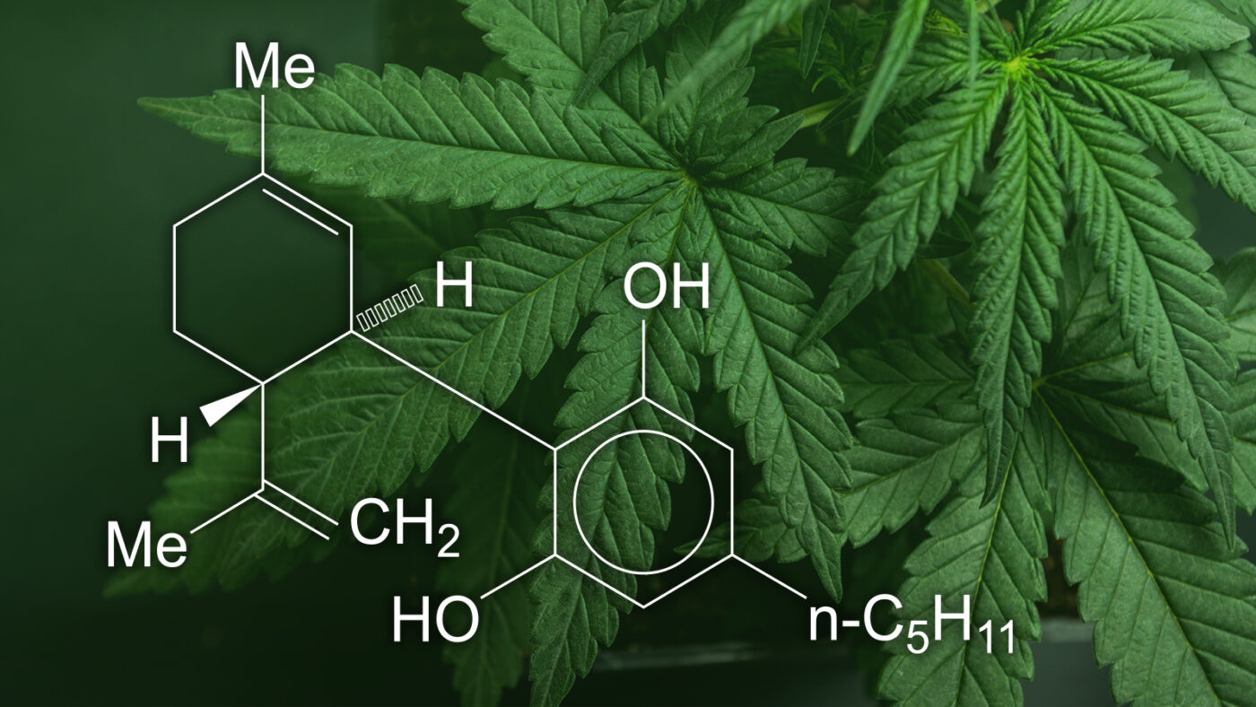 Cannabis Facts