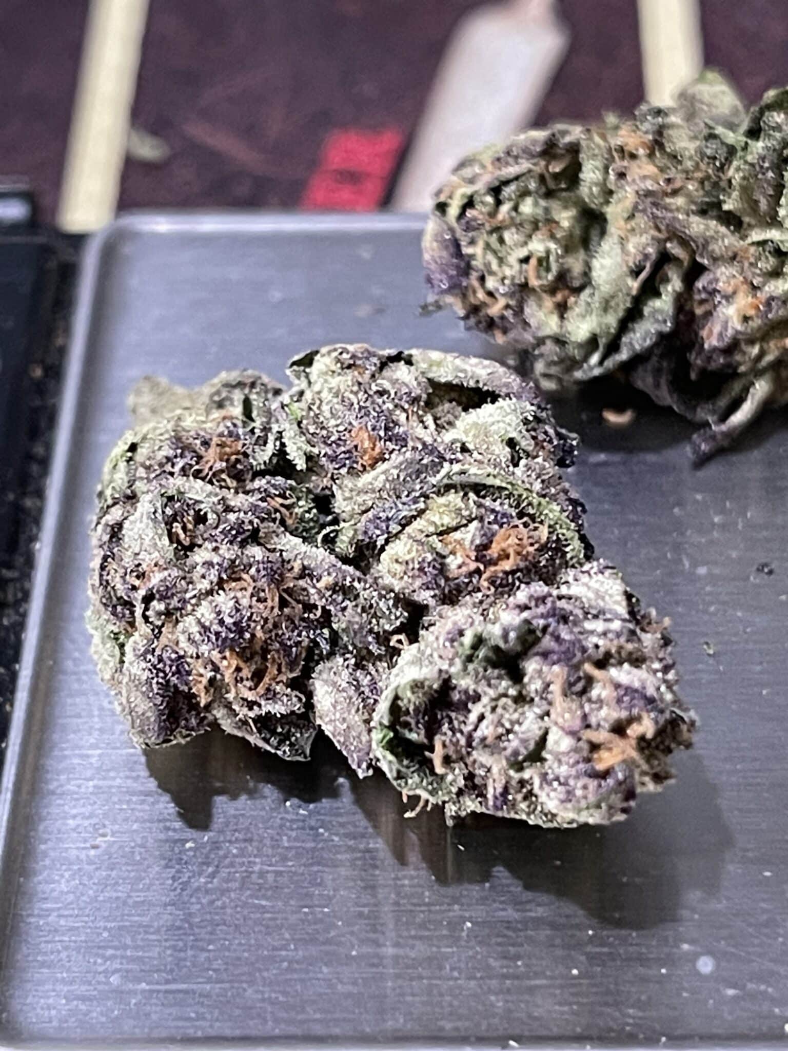 ICE CREAM RUNTZ 28gOZ ON SALE 100🔥🔥 INDICA Splash Bros.