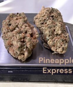 PINEAPPLE EXPRESS 7GRAMS SATIVA ON SALE 25 %THC  🔥🔥🔥