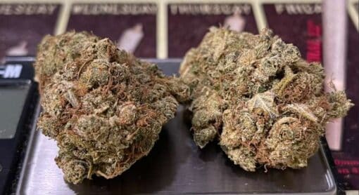 SUPER LEMON DIESEL  SATIVA ON SALE 🔥🔥28%THC NEW BATCH