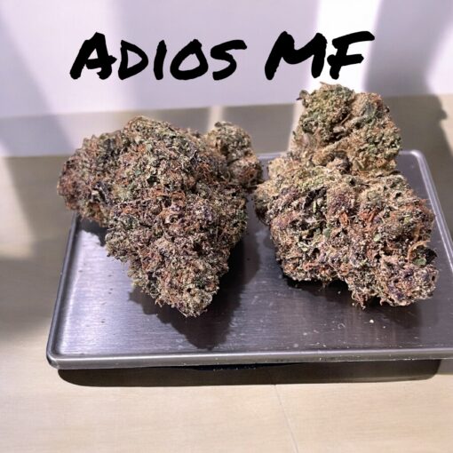 Adios Motherfuckers 3.5g  (Berner cookies)36%THC  HYBRID 🔥 - Image 2