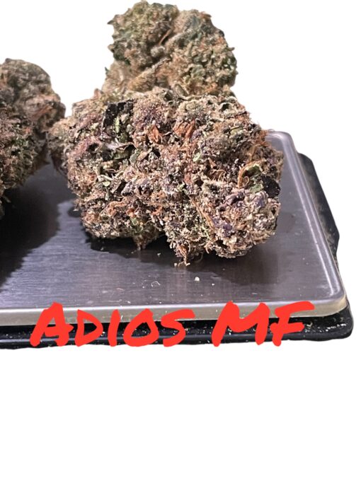 Adios Motherfuckers 3.5g  (Berner cookies)36%THC  HYBRID 🔥