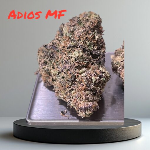 Adios Motherfuckers 3.5g  (Berner cookies)36%THC  HYBRID 🔥 - Image 4