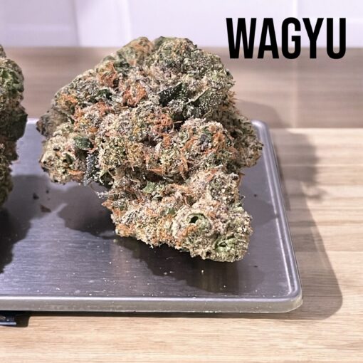 WAGYU 28GRAMS  OZ INDICA 🎉🎉 EXOTICS 36%THC 🏆🏆 BACKPACKBOYS 🎒 - Image 2