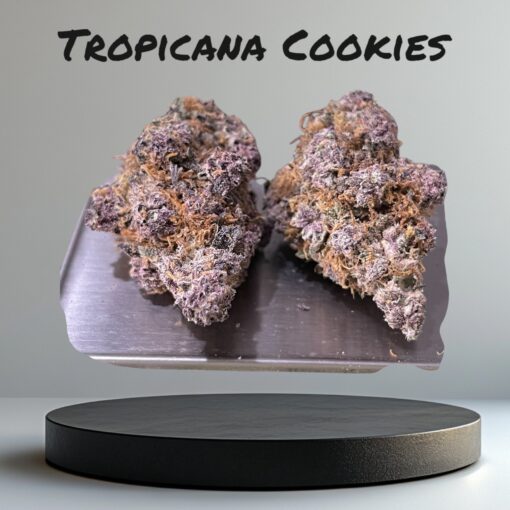 TROPICANA COOKIES 3.5g SATIVA INDOOR  28%THC - Image 2