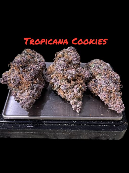 TROPICANA COOKIES 3.5g SATIVA INDOOR  28%THC - Image 3