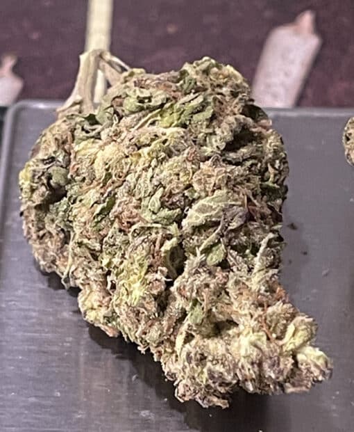 WHITE TRUFLE 28g OZ ON SALE INDICA INDOOR 🔥🔥28%THC - Image 6