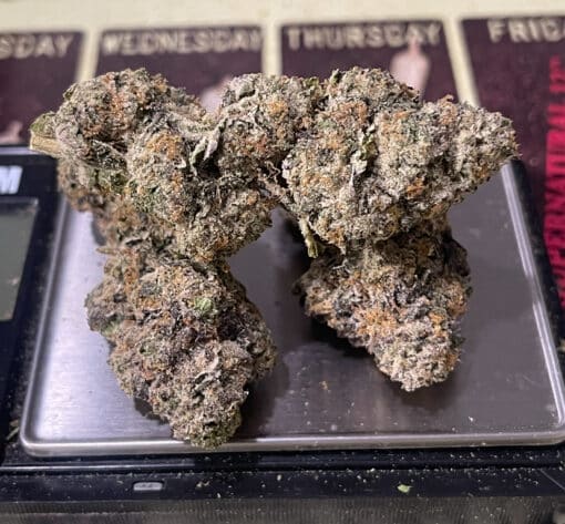 KING LOUIE  3.5g INDICA 32%THC 🔥🔥MEMORIAL DAY SALE 🔥🔥 - Image 6