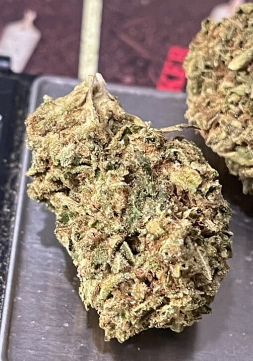 GORILLA GLUE 2 GG 28grams Oz ON SALE 26%THC INDICA 🔥🔥 - Image 5