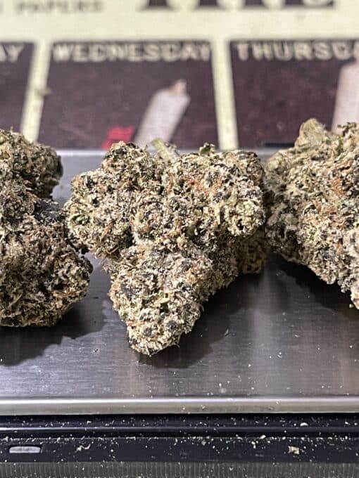 BLUE LOBSTER 28g ( Maine Trees) HYBRID EXOTIC ON SALE 37%THC MEMORIAL DAY SALE 🦞🦞 LIMITED BATCH🦞 - Image 7
