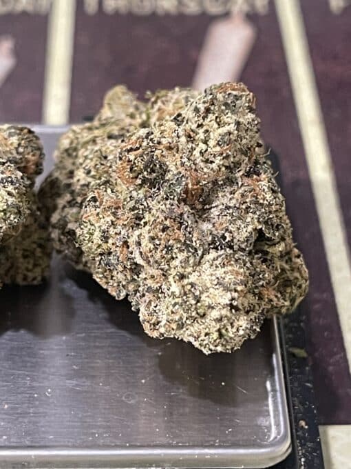 BLUE LOBSTER 28g ( Maine Trees) HYBRID EXOTIC ON SALE 37%THC MEMORIAL DAY SALE 🦞🦞 LIMITED BATCH🦞 - Image 5