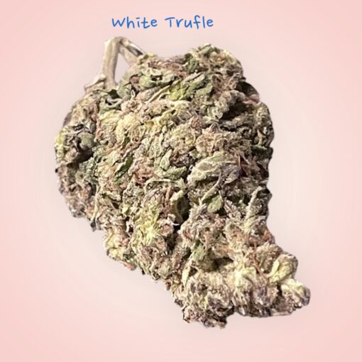 WHITE TRUFLE 28g OZ ON SALE INDICA INDOOR 🔥🔥28%THC