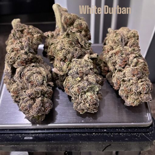 WHITE DURBAN 28grams OZ SATIVA 27%THC 🔥🔥