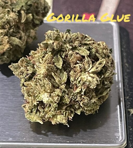 GORILLA GLUE 2 GG 28grams Oz ON SALE 26%THC INDICA 🔥🔥 - Image 2