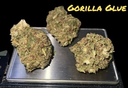 GORILLA GLUE 2 GG 28grams Oz ON SALE 26%THC INDICA 🔥🔥 - Image 3