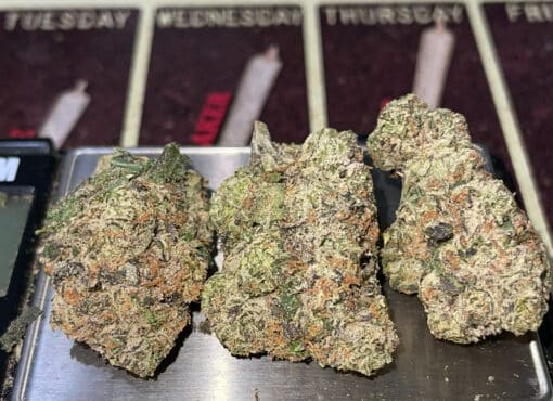 MIAMI HEAT 🏀🏀🔥🔥 28grams OZ ON SALE SATIVA 30%THC 🔥🔥 - Image 6