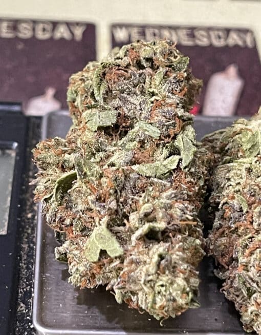STRAWBERRY 🍓 AMNESIA 28g OZ SATIVA ON SALE 28%THC 🔥🔥 - Image 4