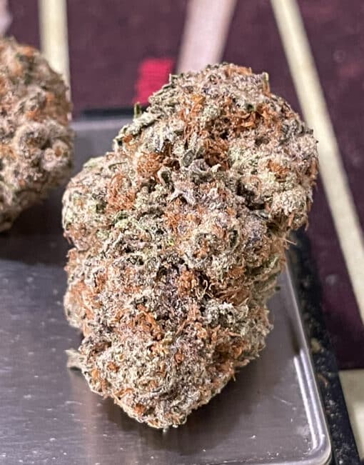 KRYPTO CHRONIC 3.5grams HYBRID 31%THC (Compound Genetics) - Image 5