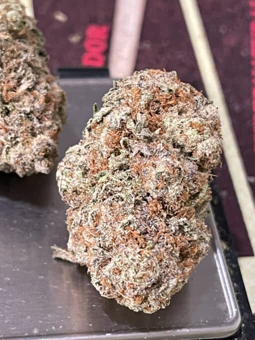 KRYPTO CHRONIC 3.5grams HYBRID 31%THC (Compound Genetics) - Image 4