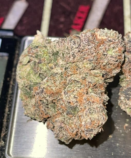 CHERRYBOMB  3.5grams INDICA 32%THC (BOMB SEEDS) - Image 5