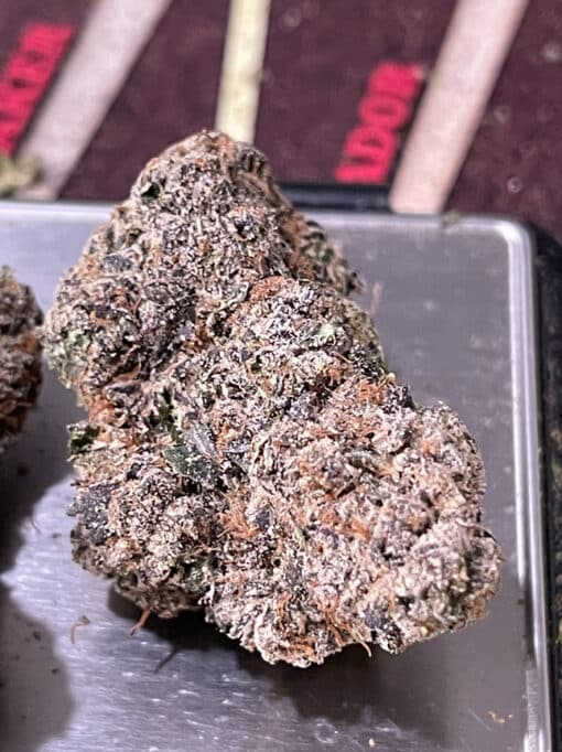 CHERRYBOMB  3.5grams INDICA 32%THC (BOMB SEEDS) - Image 3