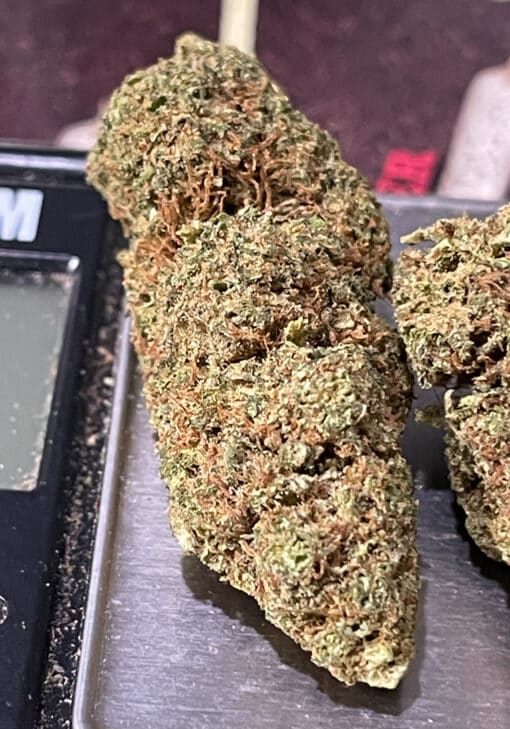 PINEAPPLE 🍍 JACK 3.5G SATIVA 31% THC SALE - Image 4