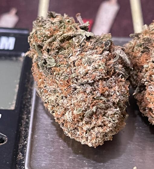 CANDY GAS 3.5g HYBRID 30% - Image 5