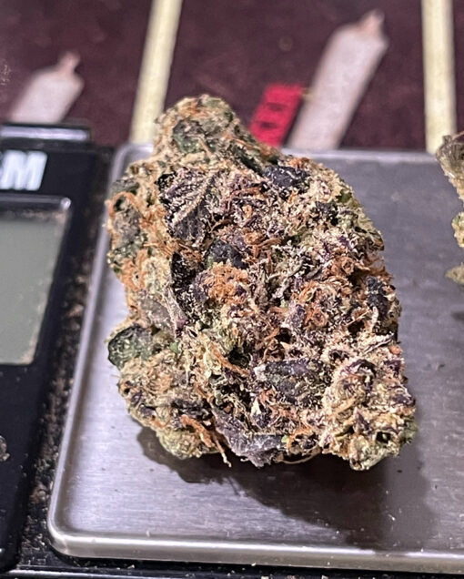 PURPLE GUMBO 3.5g 35%THC INDICA - Image 5