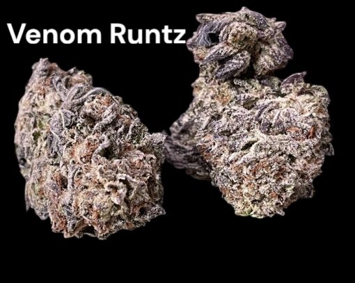 VENOM RUNTZ 28grams OZ ON SALE 27%THC INDICA 🔥🔥 - Image 3