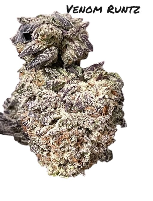 VENOM RUNTZ 28grams OZ ON SALE 27%THC INDICA 🔥🔥 - Image 5