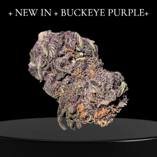 BUCKEYE PURPLE 28grams OZ ON SALE $100 INDICA 27%THC SUMMER SALE - Image 2