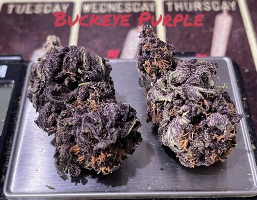 BUCKEYE PURPLE 28grams OZ ON SALE $100 INDICA 27%THC SUMMER SALE - Image 3
