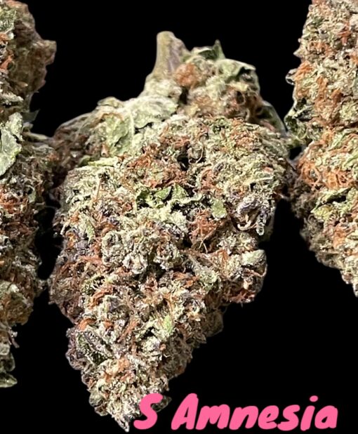 STRAWBERRY 🍓 AMNESIA 28g OZ SATIVA ON SALE 28%THC 🔥🔥 - Image 2