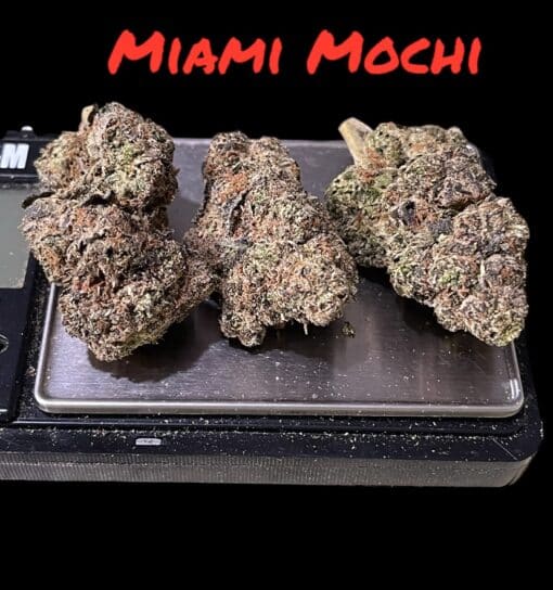 MIAMI MOCHI 3.5G HYBRID 30%THC 🔥🔥