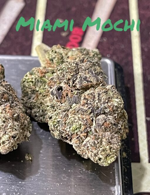 MIAMI MOCHI 3.5G HYBRID 30%THC 🔥🔥 - Image 3