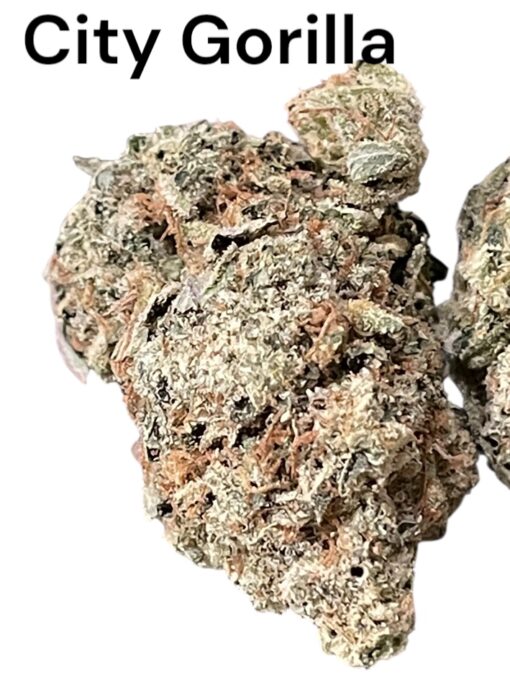 CITY GORILLA GLUE 🦍🦍 28grams OZ  INDICA 33%THC ON SALE 🔥🔥 - Image 2