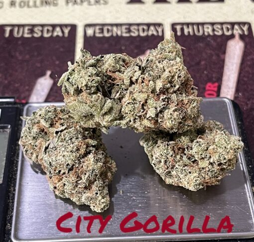 CITY GORILLA GLUE 🦍🦍 28grams OZ  INDICA 33%THC ON SALE 🔥🔥 - Image 3