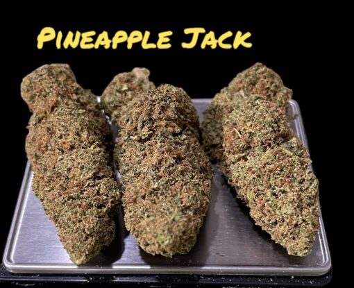 PINEAPPLE 🍍 JACK 3.5G SATIVA 31% THC SALE