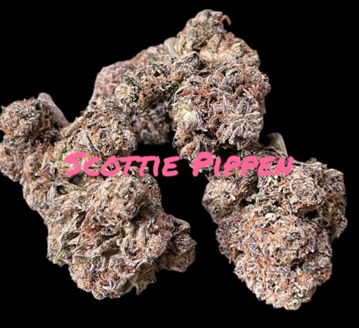 SCOTTIE PIPPEN3.5g HYBRID INDOOR 🔥🔥  31%THC