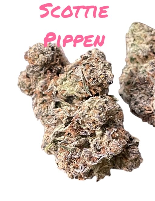 SCOTTIE PIPPEN3.5g HYBRID INDOOR 🔥🔥  31%THC - Image 3