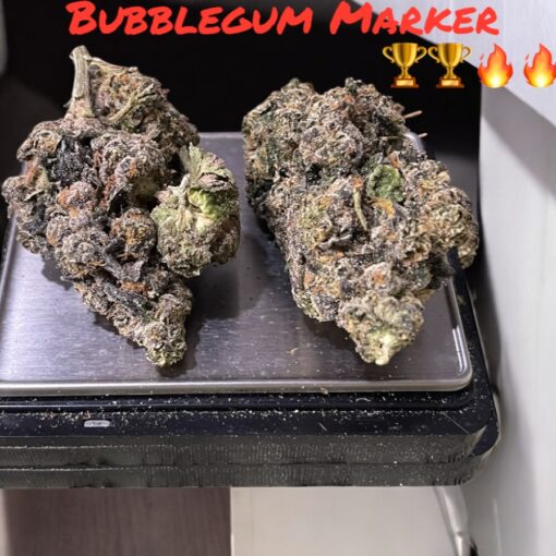 BUBBLEGUM MARKER#2 3.5grams ON SALE INDICA 36%THC EXOTICS 🏆🏆