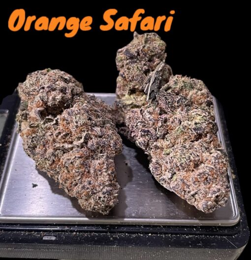 ORANGE SAFARI 3.5g SATIVA 32%THC
