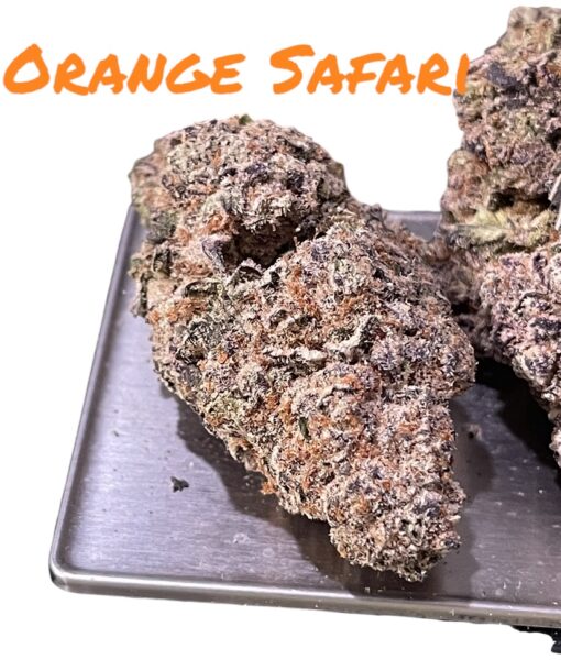 ORANGE SAFARI 3.5g SATIVA 32%THC - Image 2