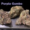 PURPLE GUMBO 3.5g 33%THC INDICA 🎆🇺🇸4thSALE🎆🔥