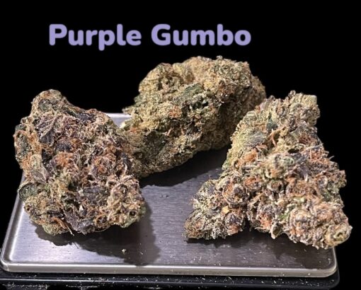 PURPLE GUMBO 3.5g 35%THC INDICA