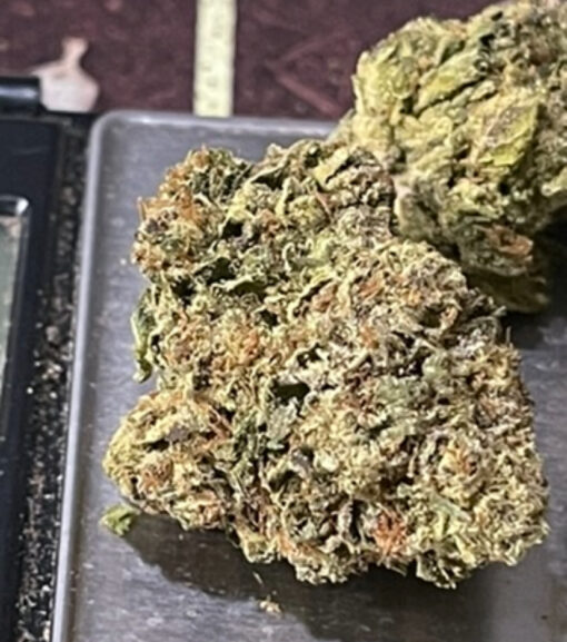 LARRY BIRD 28grams HYBRID 28%THC OZ ON SALE - Image 5