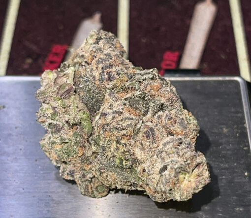 WHITE ZERBERT 28grams OZ On SALE 35%THC INDICA 🔥🔥 EXOTICS ZAZA - Image 5